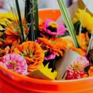Petal Party Bucket