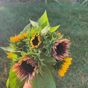 Garden Gathering (bi-weekly)