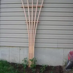 Cedar Fan Trellis